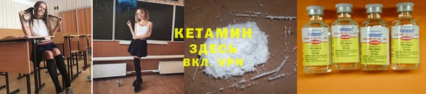 дживик Семилуки