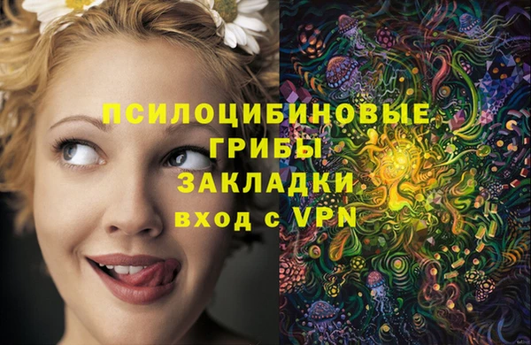 МДПВ Балахна