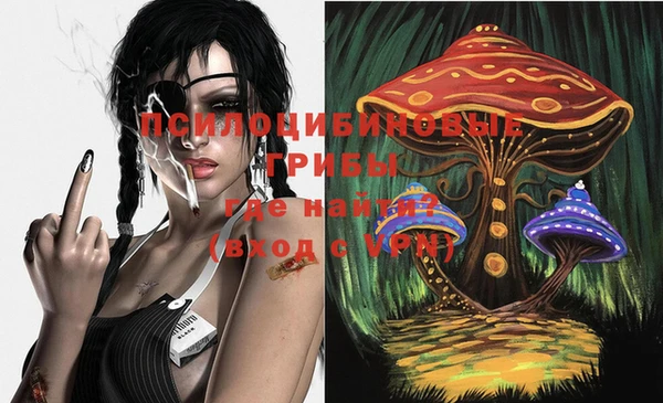 МДПВ Балахна