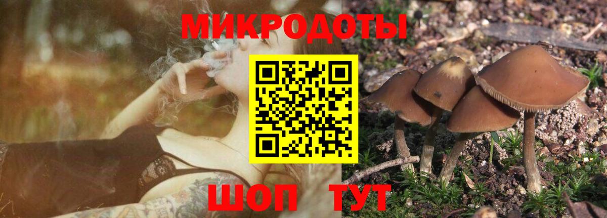 Вятские Поляны  Псилоцибиновые грибы мухоморы  Вход с VPN  Галлюциногенные грибы Cubensis 