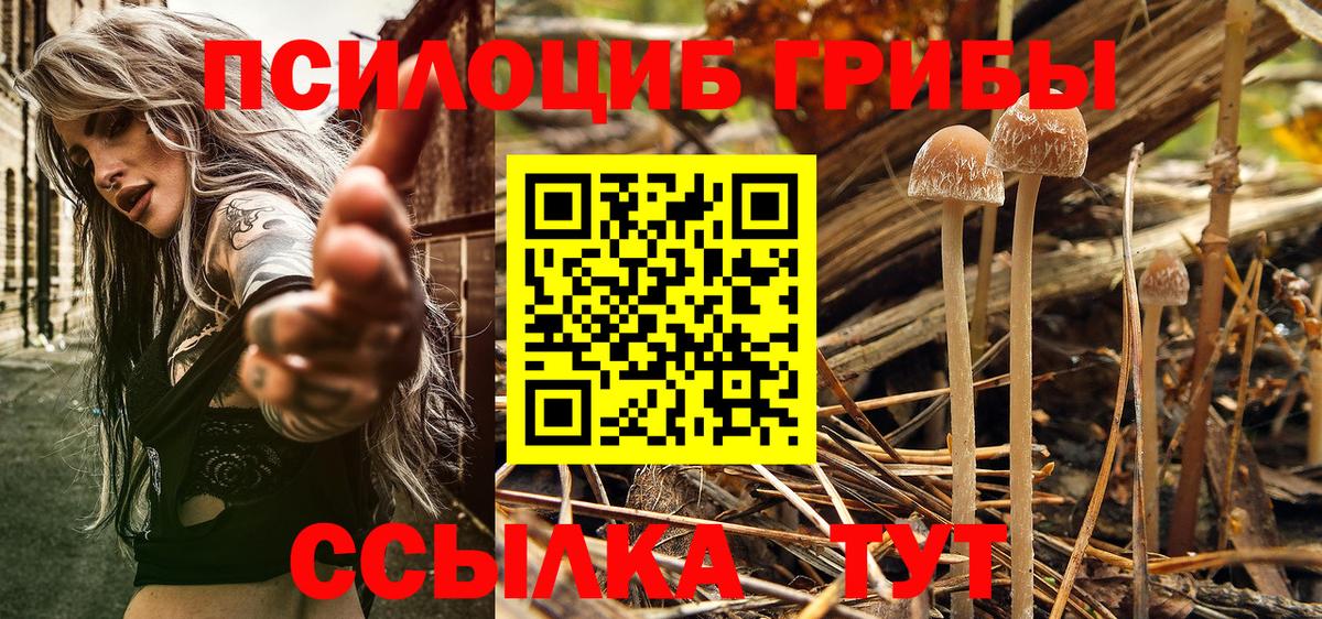 Псилоцибиновые грибы прущие грибы Вятские Поляны