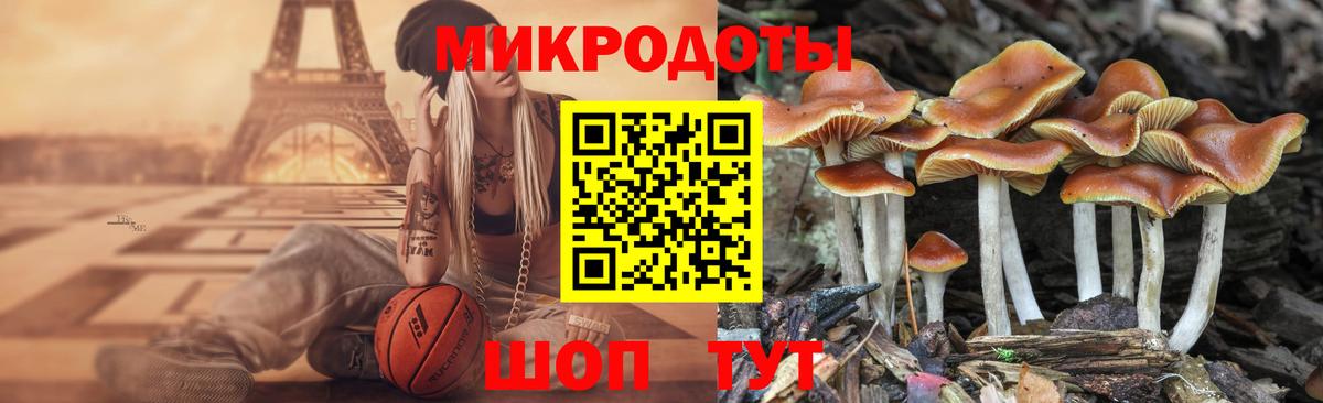Псилоцибиновые грибы MAGIC MUSHROOMS  Вятские Поляны  Псилоцибиновые грибы мухоморы 