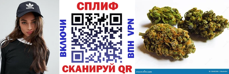 хочу наркоту  Вятские Поляны  Бошки Шишки VHQ 